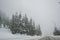 Winter in the mountains, beautiful snow-covered road with no cars, snowy trees and white sky