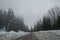 Winter in the mountains, beautiful snow-covered road with no cars, snowy trees and white sky