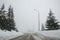 Winter in the mountains, beautiful snow-covered road with no cars, snowy trees and white sky