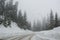 Winter in the mountains, beautiful snow-covered road with no cars, snowy trees and white sky