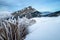 Winter mountains. Frozen grass, Rocky hill in background, Velky Rozsutec, Slovakia