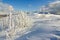 Winter mountains landscape, Bieszczady National Park, Poland