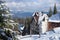 Winter mountains near under construction cottages between snow-covered fir-trees