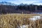 Winter natural landscape. Bare trees and twigs against blue sky on sunset. Wasteland, snow-covered river with dry reeds surrounded