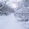 Winter natural landscape, road in the forest in winter, path in winter snow pa