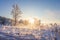 Winter nature landscape. Beautiful winter scene with sun in the morning. Snowy and frosty trees in bright sunlight