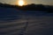 Winter nature landscape tree birch wood. Footprint human in the snow.