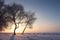 Winter nature landscape. Winter sunset. Snowy scenery in sunlight. Hoarfrost on trees illuminated by sunbeams