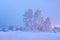 Winter nature landscape. Wintry scene. Snowy trees covered hoarfrost. Frost and snow at dawn