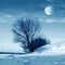 Winter nature, moon and tree