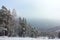 Winter nature Siberian taiga