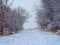 Winter nature. Snow-covered tree branches, the road is covered with a soft layer of white snow. Silence, peace.