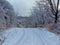 Winter nature. Snow-covered tree branches, the road is covered with a soft layer of white snow. Silence, peace