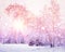 Winter nature at sunrise with pink light of sun. Colored snowflakes shining on sun. Snowy forest. Christmas background