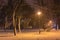 Winter night landscape- bench under trees and shining street lights falling snowflakes.