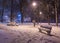 Winter night landscape- bench under trees and shining street lights falling snowflakes.