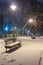 Winter night landscape- bench under trees and shining street lights falling snowflakes.