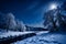 Winter night landscape, blue tone, moonlit trees, snow. Generative Ai