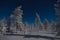 Winter night landscape with trees, road and snow.