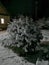 winter night in a Russian village snow trees lighting