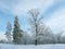 Winter Northern city landscape. Trees in the snow.