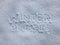 Winter Olympics - Snow Writing