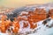 Winter overview of the Bryce National Park, Utah, USA