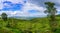 Winter panorama of the Jezreel valley countryside