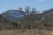 Winter panorama with part of residential district in the background snowy Teteven balkan