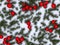 Winter panoramic background with snow-covered fir branches and snowfall flakes. Christmas banner. AI Generated