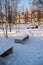 Winter Park, benches in the snow, winter still life