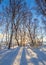 Winter park landscape, untouched snow. Early sunny morning. Long blue shadows on sparkling snow. Winter forest. Nice winter holida