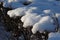 Winter park view, bushes in snow and hoarfrost