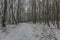 Winter path and cloudy day near Doupovske mountains