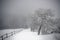 Winter path in the Giant Mountains