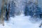 Winter Path Narnia