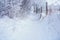 Winter pathway covered by snow and ice