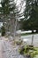 Winter pathway with pastures covered with various trees and moss