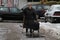 Winter. People are walking a snowy icy road after a heavy snowfall in the city, person with cane on an icy pathway, ice