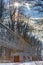 A winter photo of a metallic structure supporting various pipes on concrete blocks running through a forest with sun shining