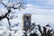 Winter in Piemont, Italy, snowy trees and steeple. Clock tower behind snow covered trees.