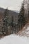 Winter in polish mountains, tree covered by fresh snow