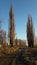 Winter poplars against the blue sky.