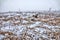 Winter Prairie with dry vegetation