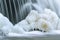 Winter Rabbit River Cascade Framed by Ice