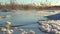 Winter reeds in lake