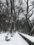 Winter in Riverside Park in Manhattan Morningside after snow storm
