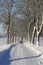 Winter road