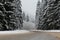 Winter road