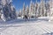 Winter road in mountains